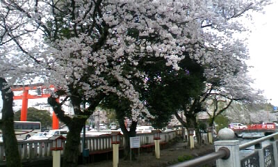 b0029694_19225213.jpg