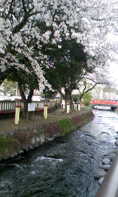 b0029694_1925439.jpg