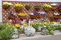 d0025894_153419.jpg
