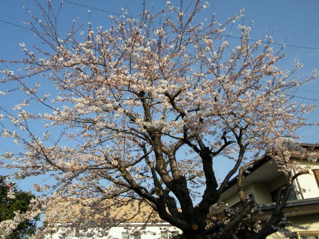 f0130894_22115236.jpg