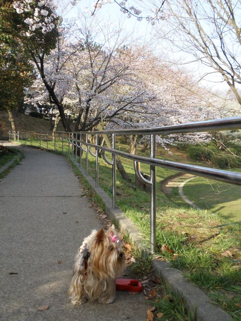 f0130894_22124940.jpg