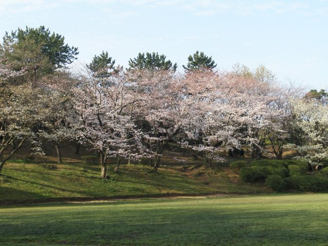 f0130894_22135710.jpg