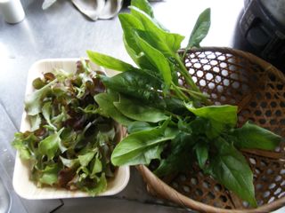 f0130894_22165451.jpg