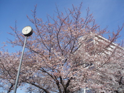 c0086895_1714697.jpg