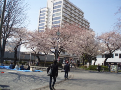 c0086895_17222745.jpg