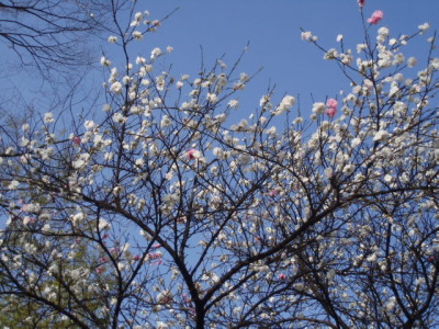 c0086895_17231141.jpg