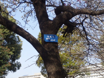 c0086895_17232291.jpg