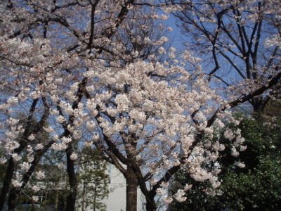 c0086895_1733517.jpg