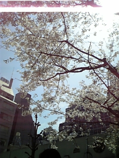 f0033997_0282139.jpg