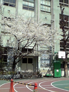 f0033997_0322032.jpg