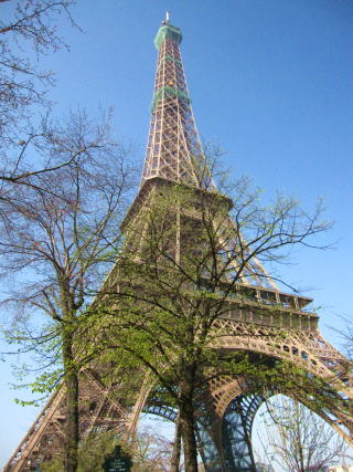 c0090198_1584856.jpg