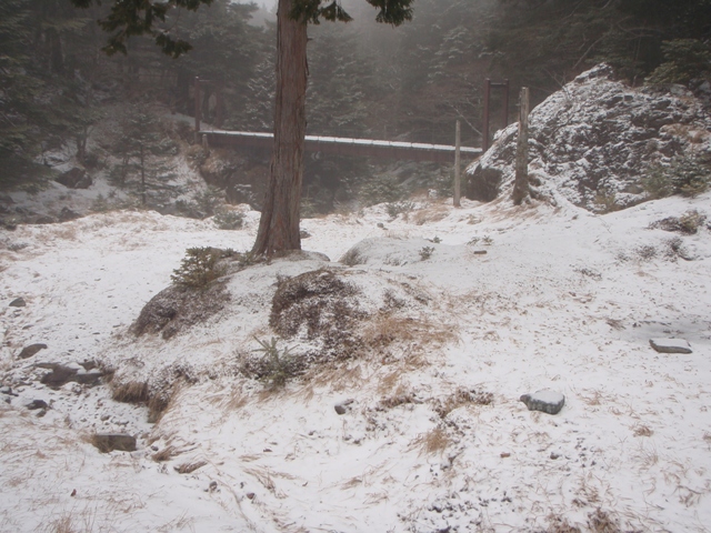 c0147398_042452.jpg