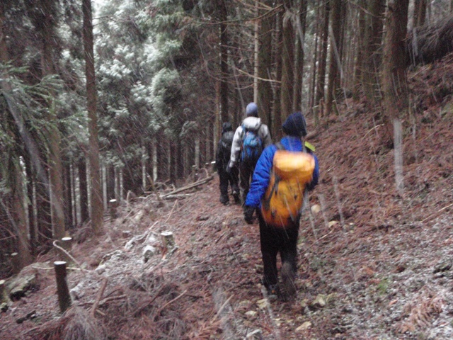 c0147398_06339.jpg