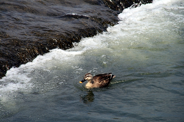 e0137200_18145090.jpg