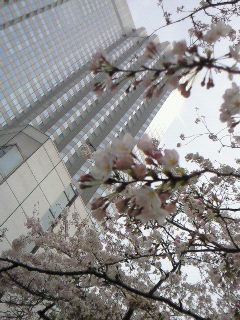 f0114900_2010235.jpg