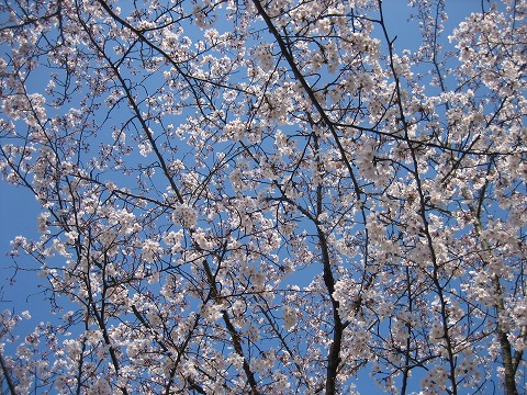 c0196701_17213751.jpg