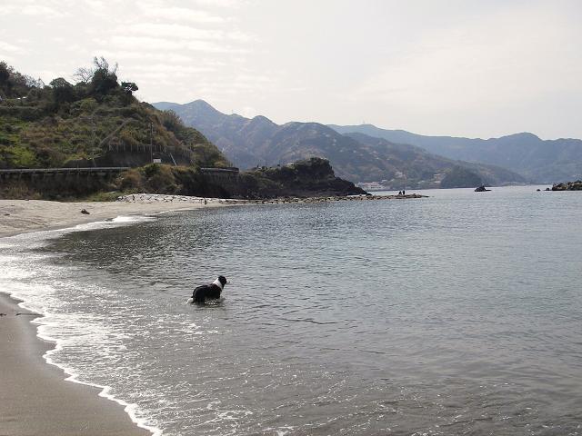 f0034602_21291074.jpg