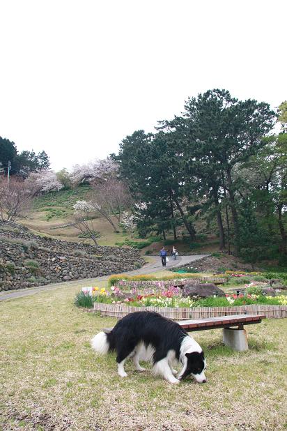 f0034602_21362080.jpg