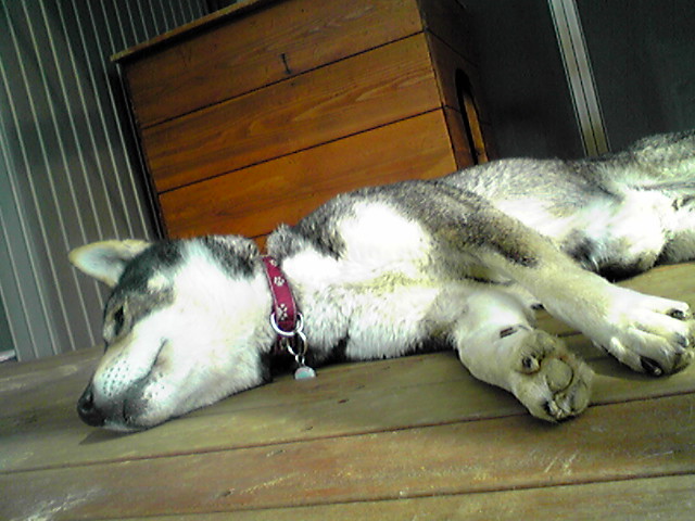f0079202_1034078.jpg