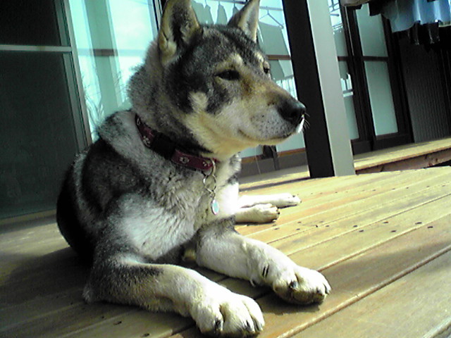 f0079202_1034085.jpg