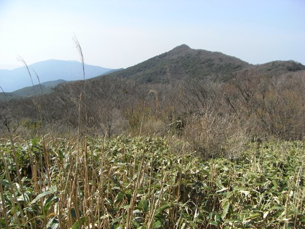 f0187402_21194565.jpg