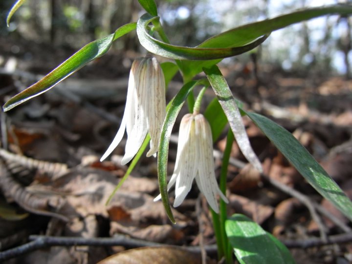 f0187402_21203081.jpg