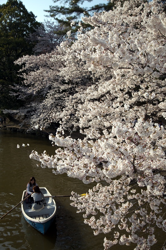 c0043403_2219785.jpg
