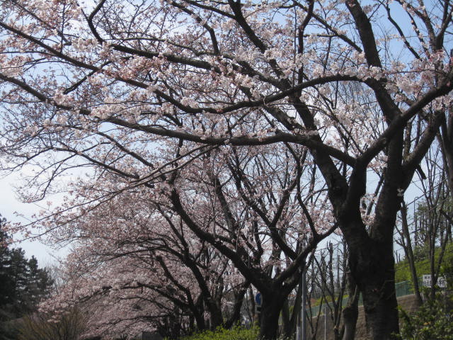 c0195603_1034643.jpg