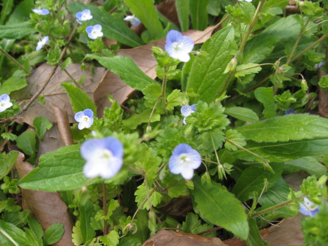 c0195603_10374799.jpg