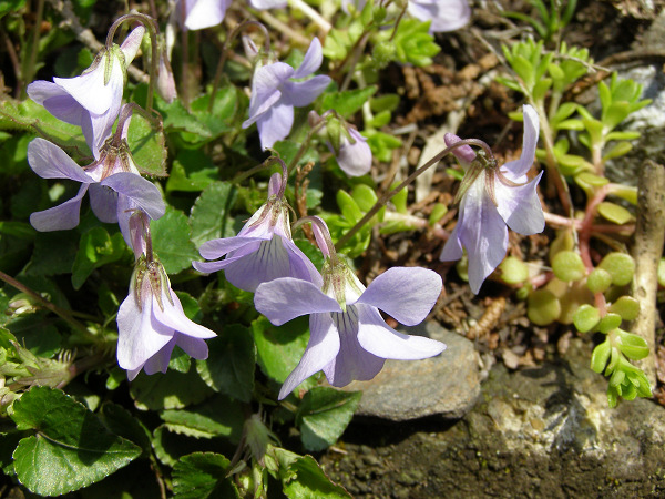 d0120803_14421374.jpg
