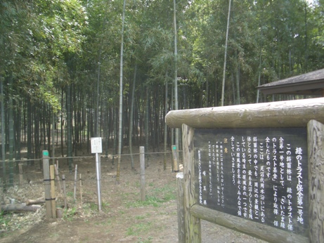 d0135403_21594933.jpg