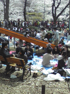 b0009206_11381693.jpg