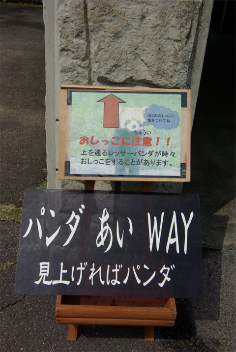 d0072106_23354934.jpg