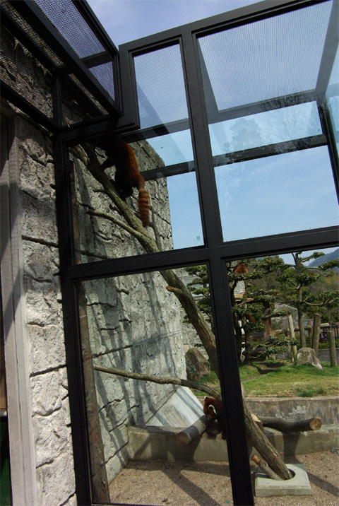 d0072106_2337892.jpg