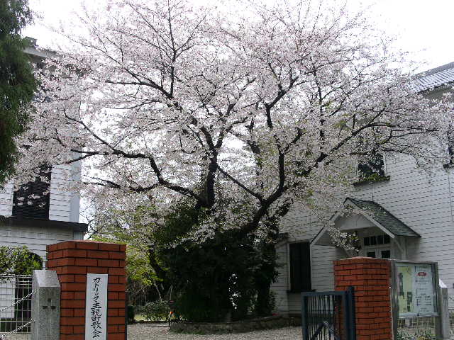 c0152507_11461324.jpg