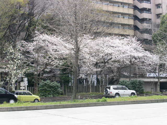 c0152507_11482754.jpg