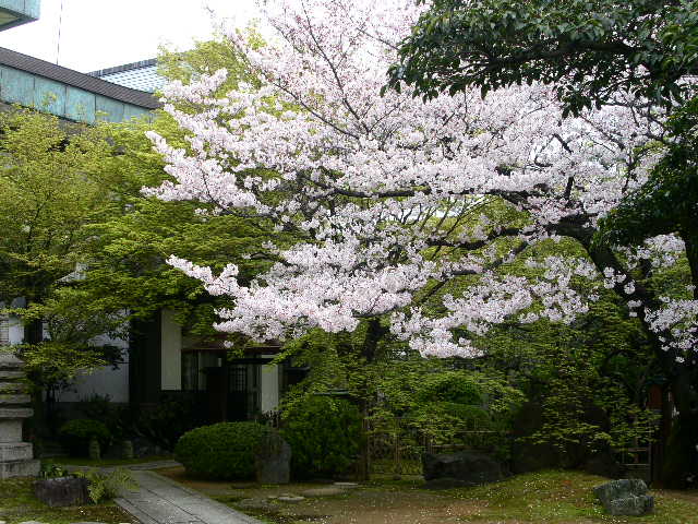 c0152507_1149175.jpg