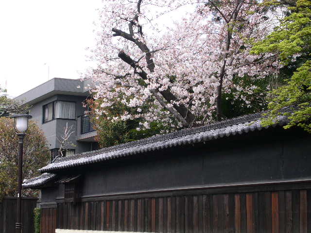 c0152507_1235631.jpg