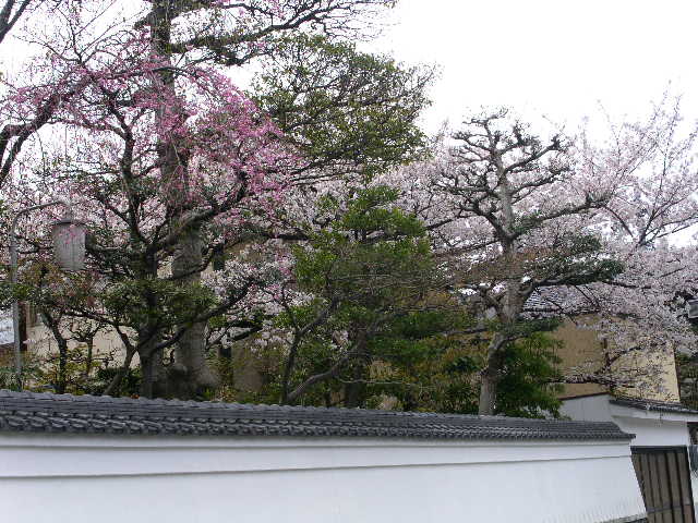 c0152507_123696.jpg