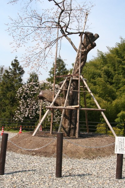 e0001907_22463651.jpg