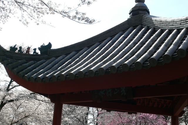f0167007_2314797.jpg