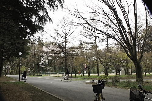 e0121110_20144752.jpg
