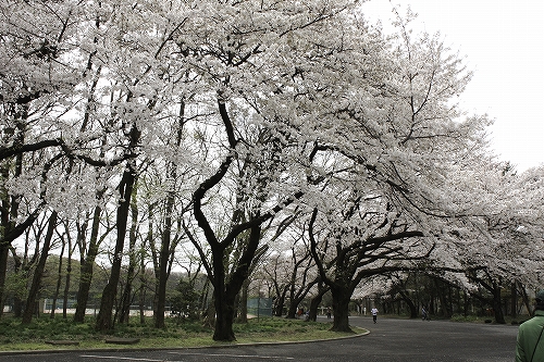 e0121110_20151156.jpg