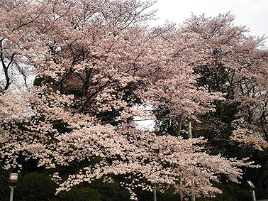 a0022014_18402026.jpg