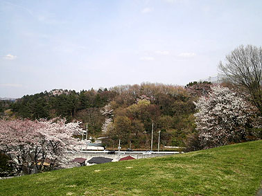 a0022014_18414548.jpg
