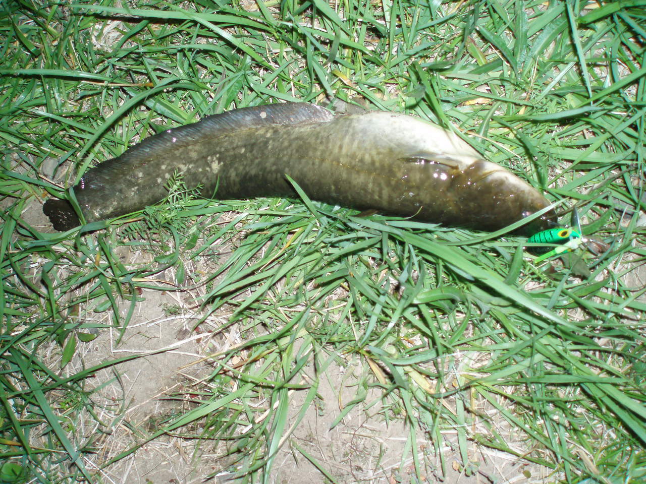 c0006017_3585860.jpg
