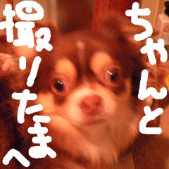 c0036617_1023925.jpg