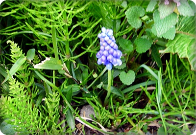d0144618_20474369.jpg
