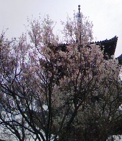d0024220_2316309.jpg