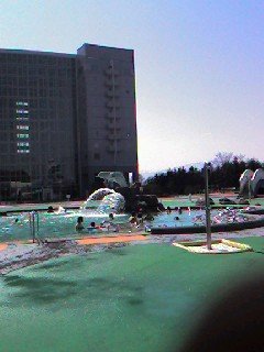 b0128821_23105696.jpg